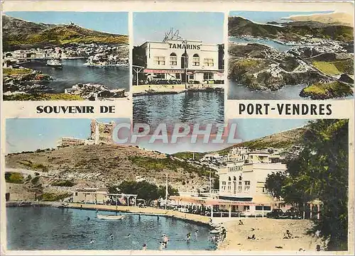 Moderne Karte Souvenir de Port Vendres PO Vue generale