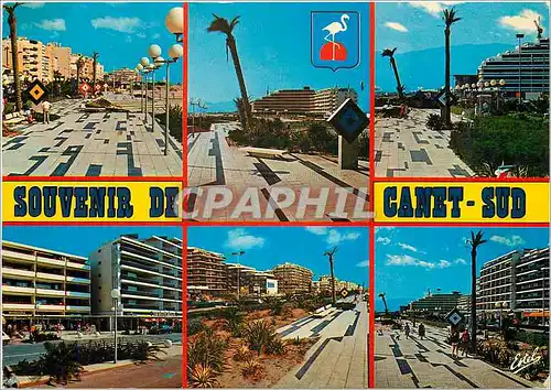 Cartes postales moderne Canet Plage Pyrenees Orientales Divers aspects de Canet Sud