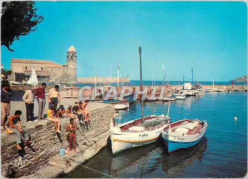 Cartes postales moderne Collioure Le Port L'Eglise