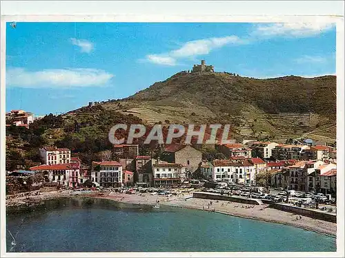 Cartes postales moderne Lumiere et Couleurs de la Cote Vermeille Collioure Le Port d'Avail