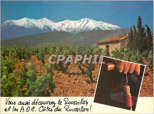 Cartes postales moderne Le Mont Canigou Roussillon France