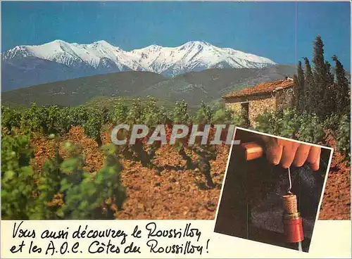 Moderne Karte Le Mont Canigou Roussillon France