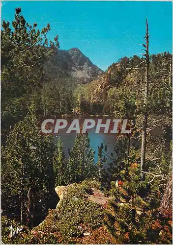 Cartes postales moderne Lumiere et Couleurs du Roussillon Pyrenees Orientales En Capcir Le Lac de Balcera