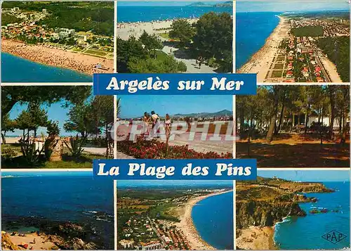 Cartes postales moderne Argeles sur Mer Le Racou La plage des pins