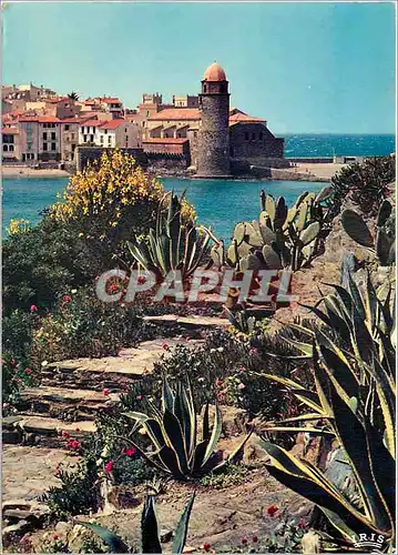 Cartes postales moderne Collioure Pyrenees Orientales joyau de la cote catalane Echappee sur l'eglise Saint Vincent et l
