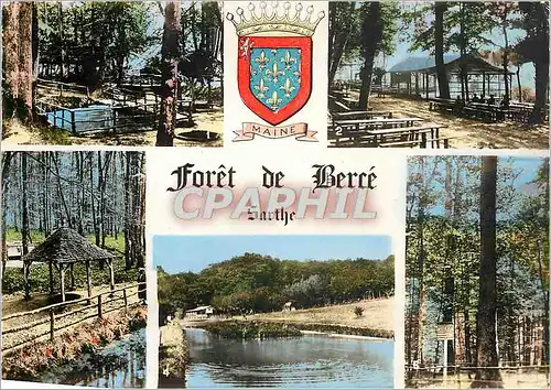 Moderne Karte Foret de Berce Sarthe