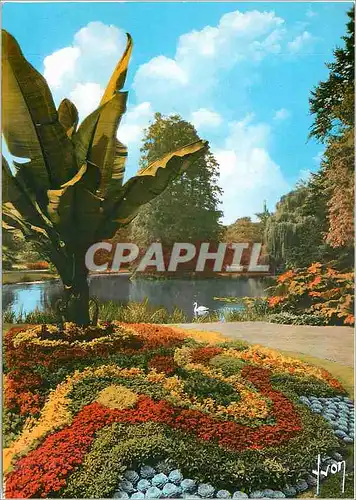 Cartes postales moderne Le Mans Sarthe En flanant a Travers le Jardin Public