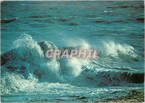 Cartes postales moderne Bords de Mer Effets de Vagues