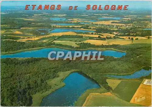 Cartes postales moderne Etangs de Sologne