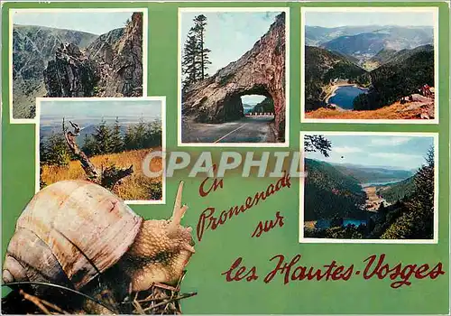 Cartes postales moderne En Promenade sur les Hautes Vosges Escargot