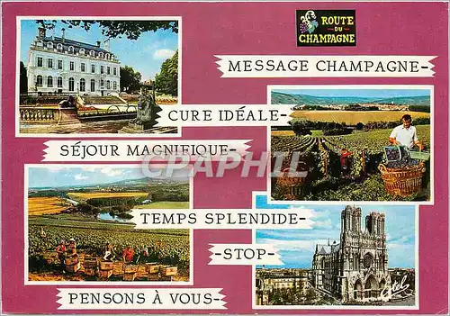 Cartes postales moderne Route du Champagne