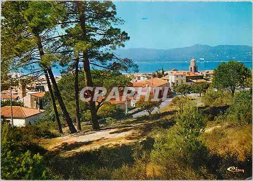Cartes postales moderne Saint Tropez Var Vue generale