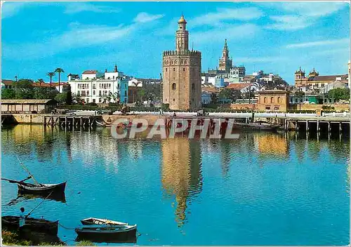 Cartes postales moderne Sevilla Tour del Or