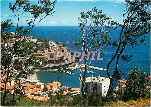 Cartes postales moderne La Cote Vermeille Cerbere Frontiere franco espanole La baie