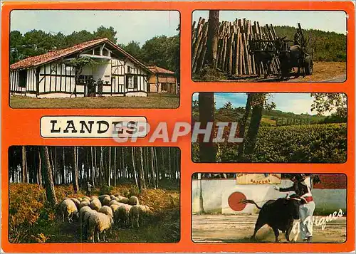 Cartes postales moderne Landes Maison de la Haute Lande