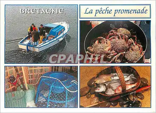 Cartes postales moderne Bretagne La peche promenade