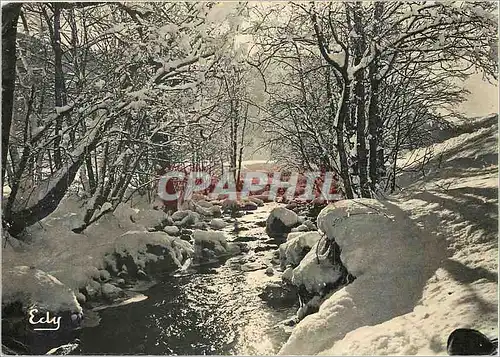 Cartes postales moderne Ruisseau sous la neige