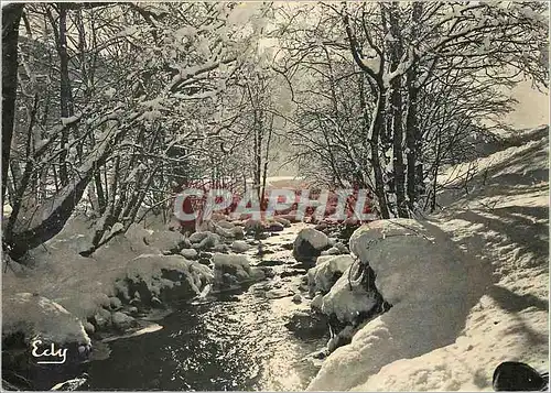 Moderne Karte Ruisseau sous la neige