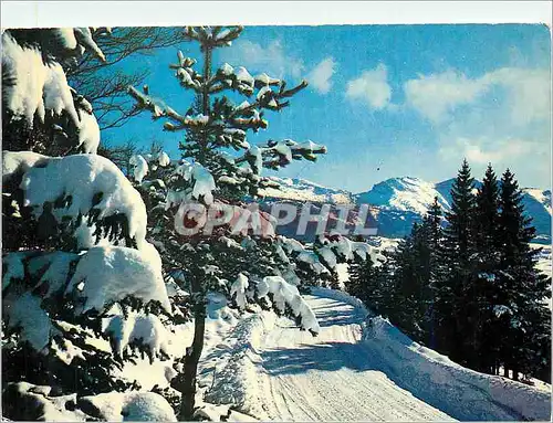 Cartes postales moderne Paysage hivernal Route en montagne