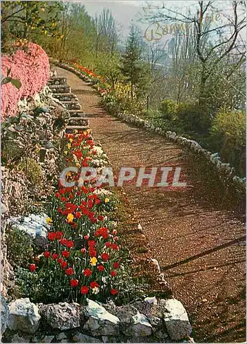 Cartes postales moderne Chemin