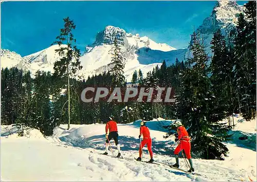 Cartes postales moderne Les Plaisirs de la neige a la decouverte en ski de fond