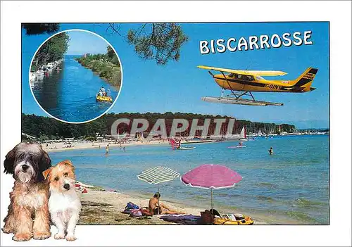 Cartes postales moderne Biscarrosse Landes Hydravion Chien Aviation
