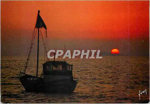 Cartes postales moderne La Corse Oasis de Beaute Golfe d'Ajaccio Corse Coucher de Soleil sur les Sanguinaires Bateau