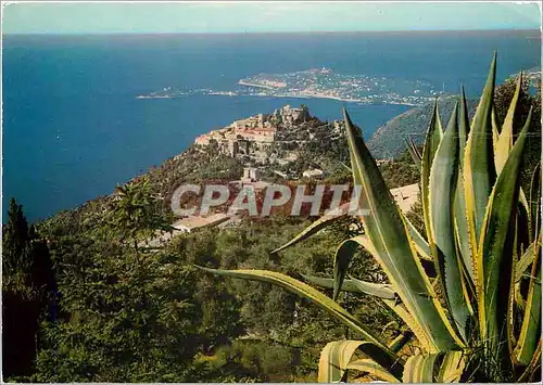 Cartes postales moderne Eze Vue Panoramique au fond le Cap Ferrat