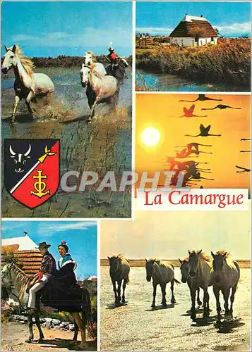 Moderne Karte La Camargue terre d'Eau de Soleil et de legende