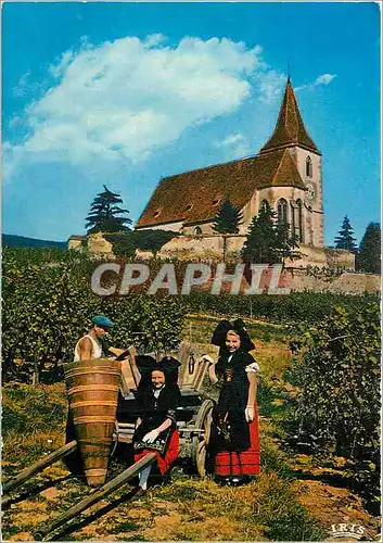 Moderne Karte L'Alsace Pittoresque Vendanges a Hunawihr devant l'Eglise