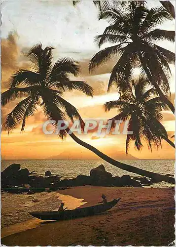 Cartes postales moderne Sous les cocotiers au coucher du soleil
