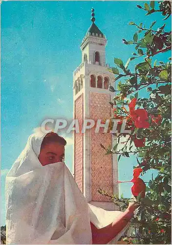 Cartes postales moderne La Marsa Le Minaret