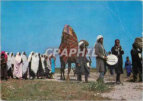 Cartes postales moderne Kairouan Procession de Mariage Zlass