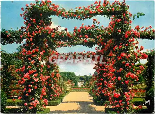 Cartes postales moderne Paris Bois de Boulogne La Roseraie de Bagatelle