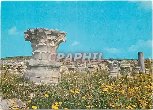 Cartes postales moderne Carthage Ruines Romaines