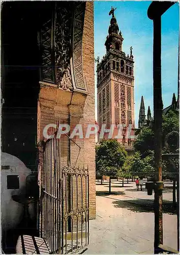 Cartes postales moderne Sevilla Porte du Perdon et Giralda