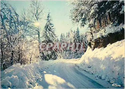 Cartes postales moderne Neige et Soleil Contre jour