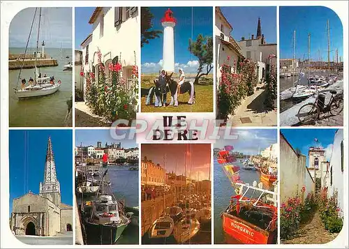 Cartes postales moderne Ile De Re