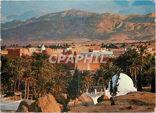 Cartes postales moderne Tunisie die Oase