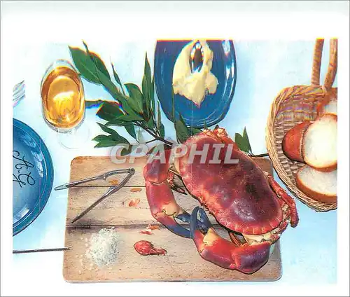 Cartes postales moderne Tourteau et Araignee de Mer