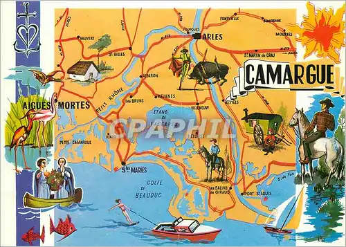 Cartes postales moderne Camargue