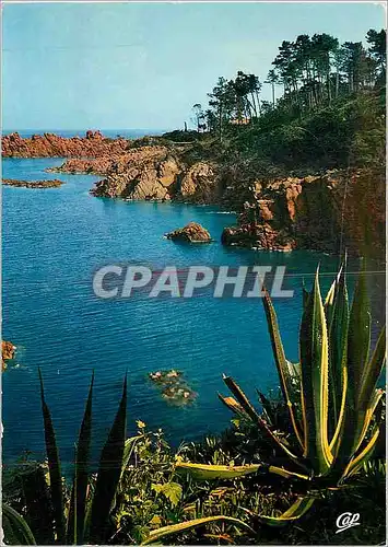 Cartes postales moderne Cote d'Azur Carrefour Mondial du Tourismo Une Calanque dans l'Esterel