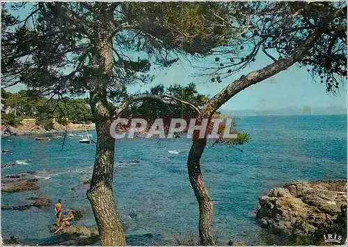 Moderne Karte Reflets de la Cote d'Azur Pinedes au bord de la mer
