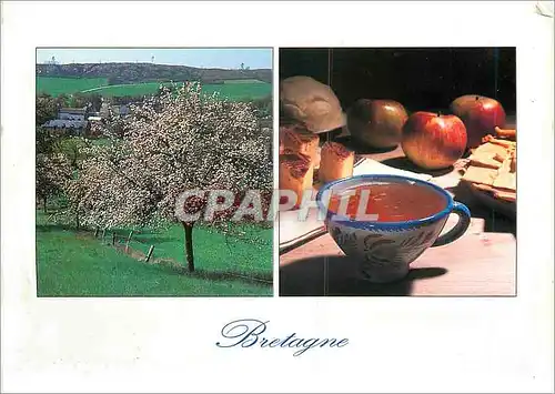 Cartes postales moderne Bretagne De la Pomme au cidre