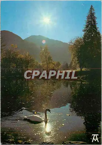 Cartes postales moderne Bagneres de Luchon Parc de l'Etablissement Thermal Les Cygnes du Lac