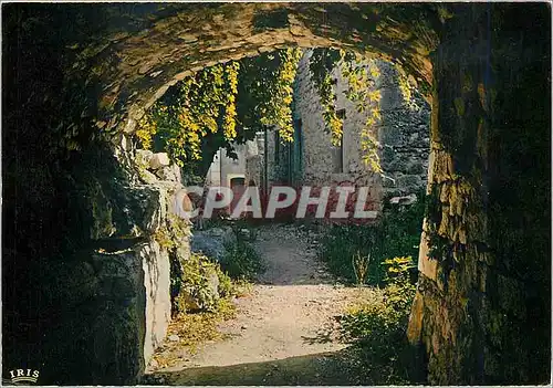 Cartes postales moderne Ardeche Pittoresque Vieille rue Medievale a Balazuc