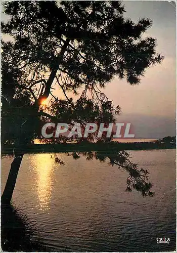Cartes postales moderne Cote Atlantique Le soleil a son coucher versait sa lumiere d'or