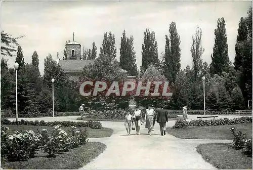 Cartes postales moderne Balatonfoldvar Park