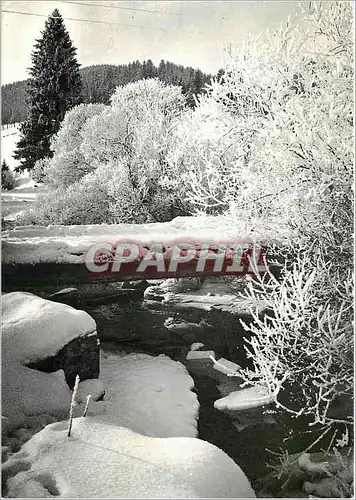 Cartes postales moderne Neige et Soleil