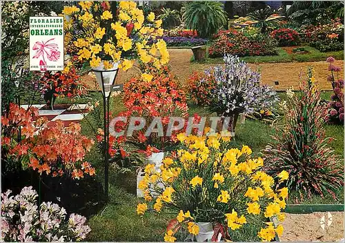 Cartes postales moderne Parc Floral Orleans La Source
